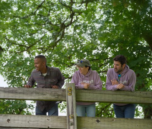 stills.01_14_52_03.Still002