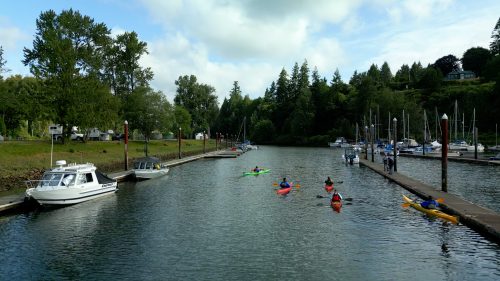 stills.01_29_41_03.Still005