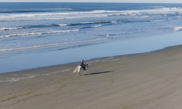 111_The Columbia Coast_Full Episode_2026-03-23.mp4.00_02_17_15.Still011 111_The Columbia Coast_Full Episode_2026-03-23.mp4.00_02_17_15.Still011